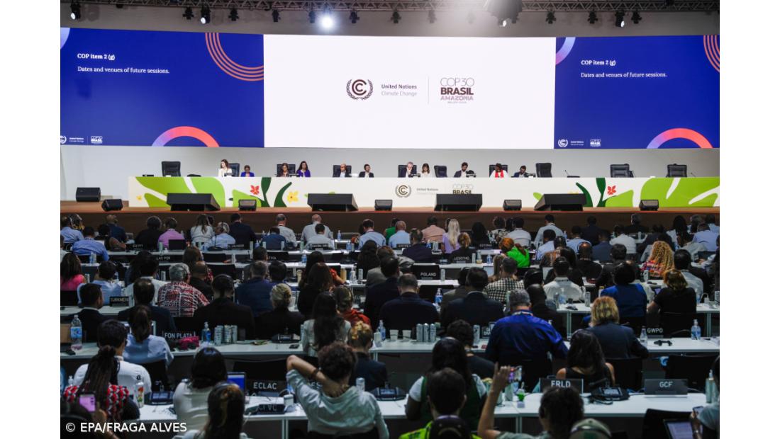 Quercus diz que acordo ficou "muito aquém das expectativas"