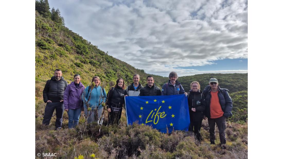 Projeto alcança “aumento significativo” de espécies de escaravelhos dos Açores
