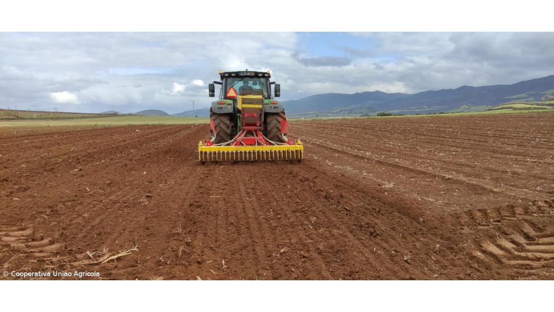 Campos experimentais testam pastagens resistentes a doenças e alterações climáticas