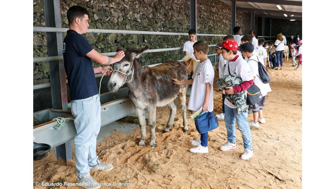Milhares de crianças invadiram a Feira Agrícola (Com fotos) – Imagem 20