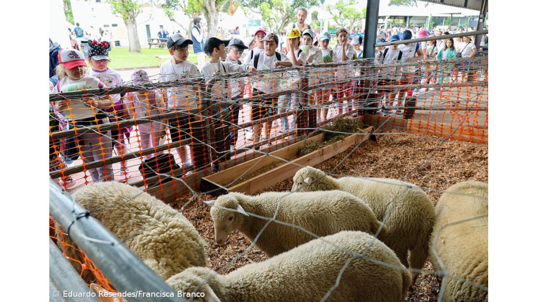 Milhares de crianças invadiram a Feira Agrícola (Com fotos) – Imagem 5