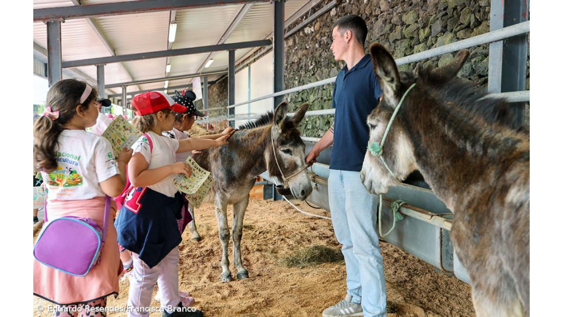 Milhares de crianças invadiram a Feira Agrícola (Com fotos) – Imagem 6