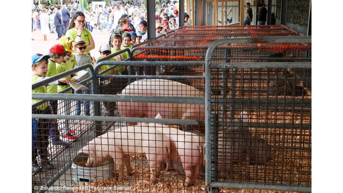 Milhares de crianças invadiram a Feira Agrícola (Com fotos) – Imagem 7