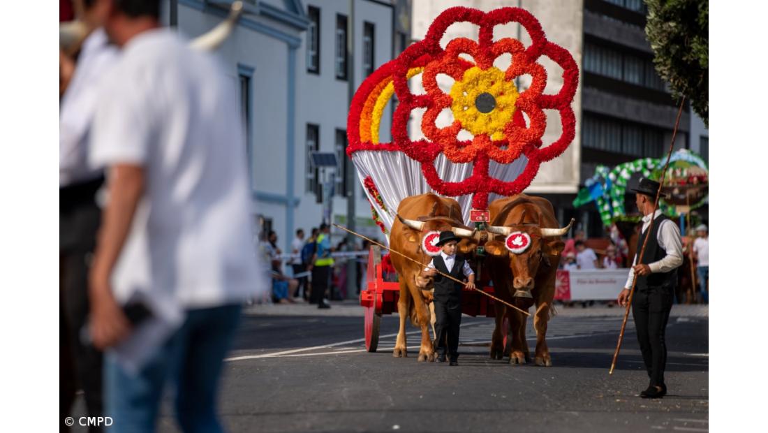 Ponta Delgada volta a encher-se para celebrar o Divino Espírito Santo – Imagem 4