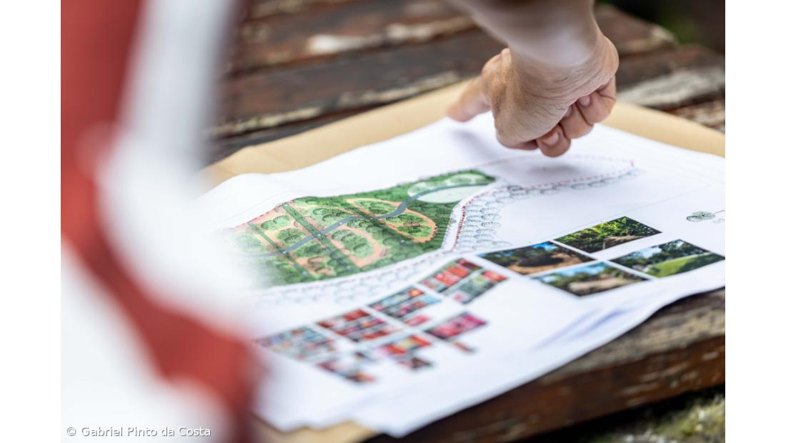 Novo jardim vai preservar 400 variedades de Camélias – Imagem 2