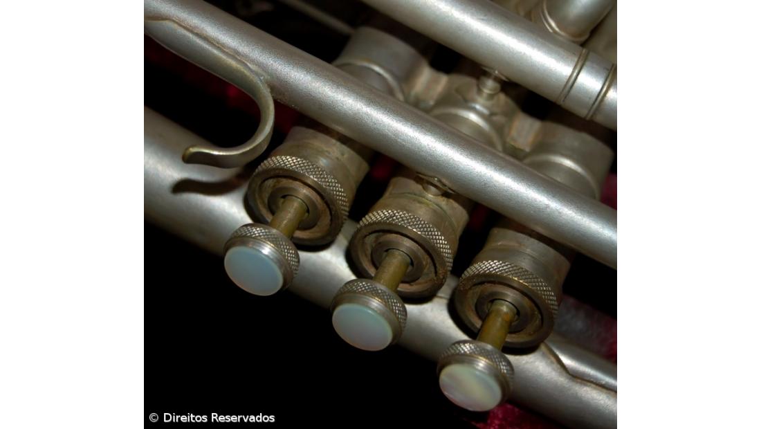 Dezoito portugueses integram a Orquestra de Jovens da União Europeia