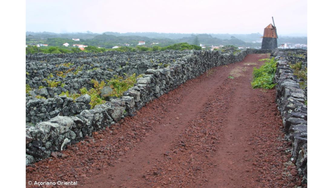 Das mais-valias do Pico e do Faial – Imagem 1