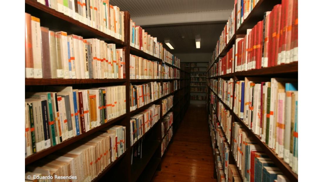 Após prémio literário nos EUA, Isolda Brasil lança primeiro romance em português