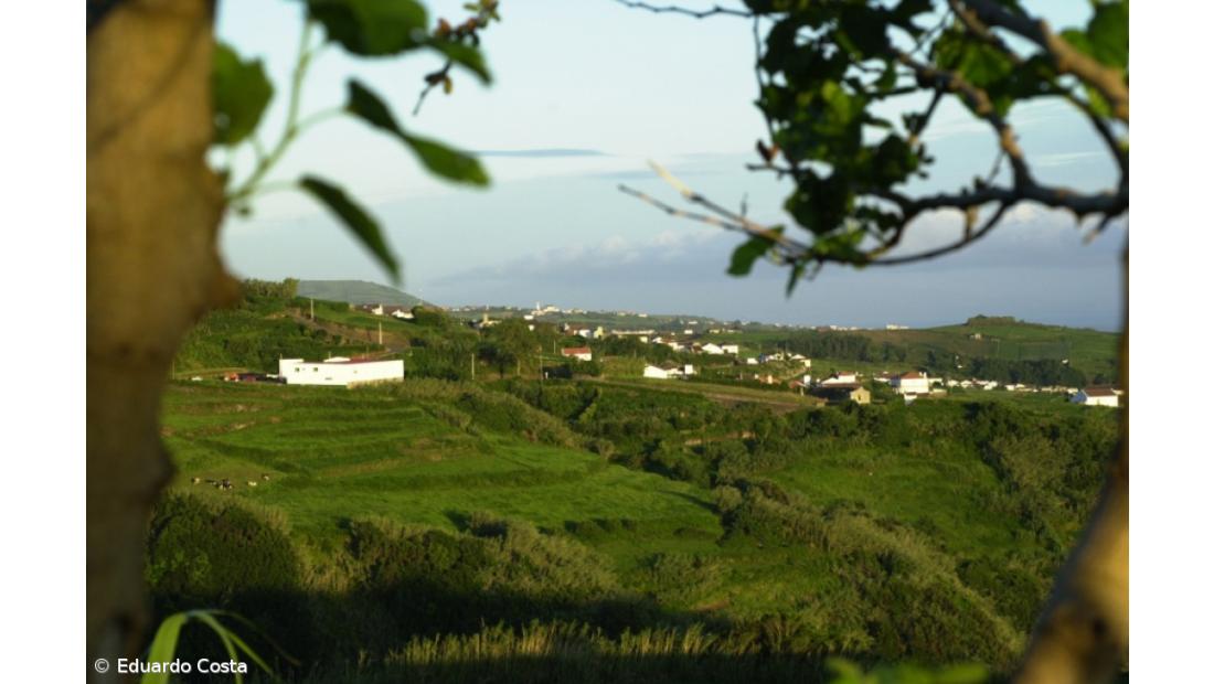 Turismo rural nos Açores beneficiará com "low cost" em S. Miguel 