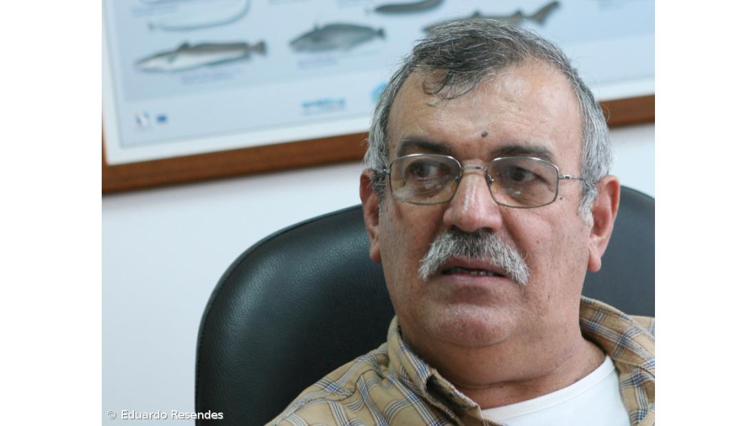 Porto de Abrigo quer fundo de emergência para apoiar pequena pesca