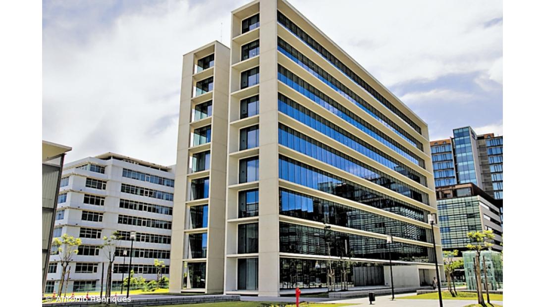  Todos os arguidos detidos ficam em liberdade