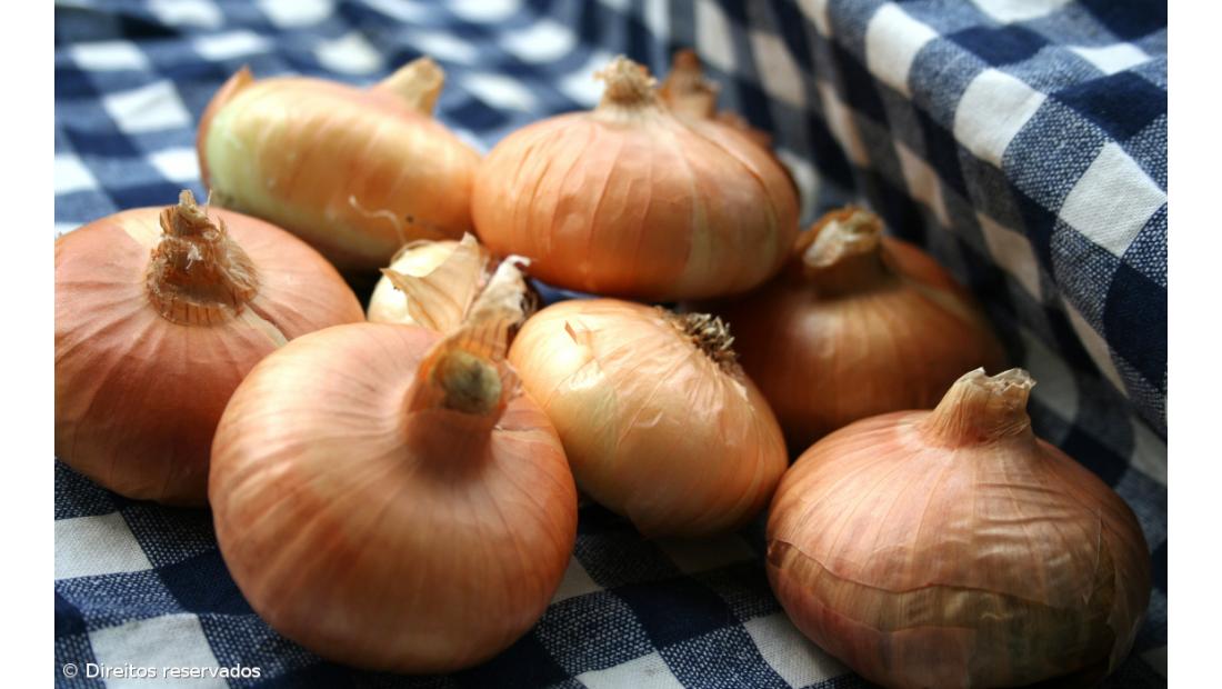 Cebola para grávidas e jovens vendida por empresa que quer novos mercados