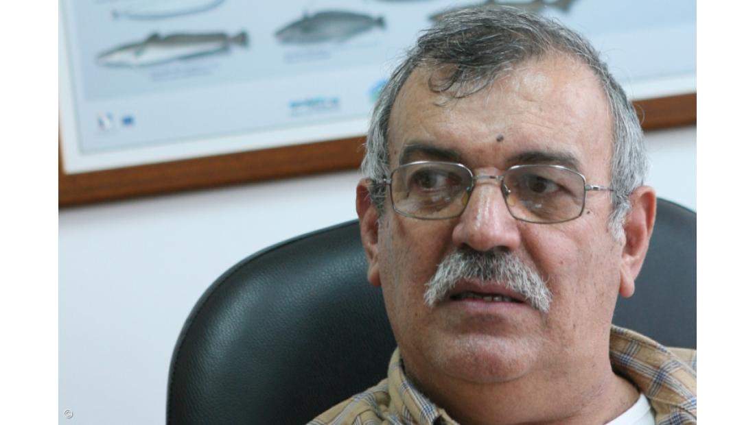 Pescadores dos Açores insistem em compensação pela quebra de rendimentos