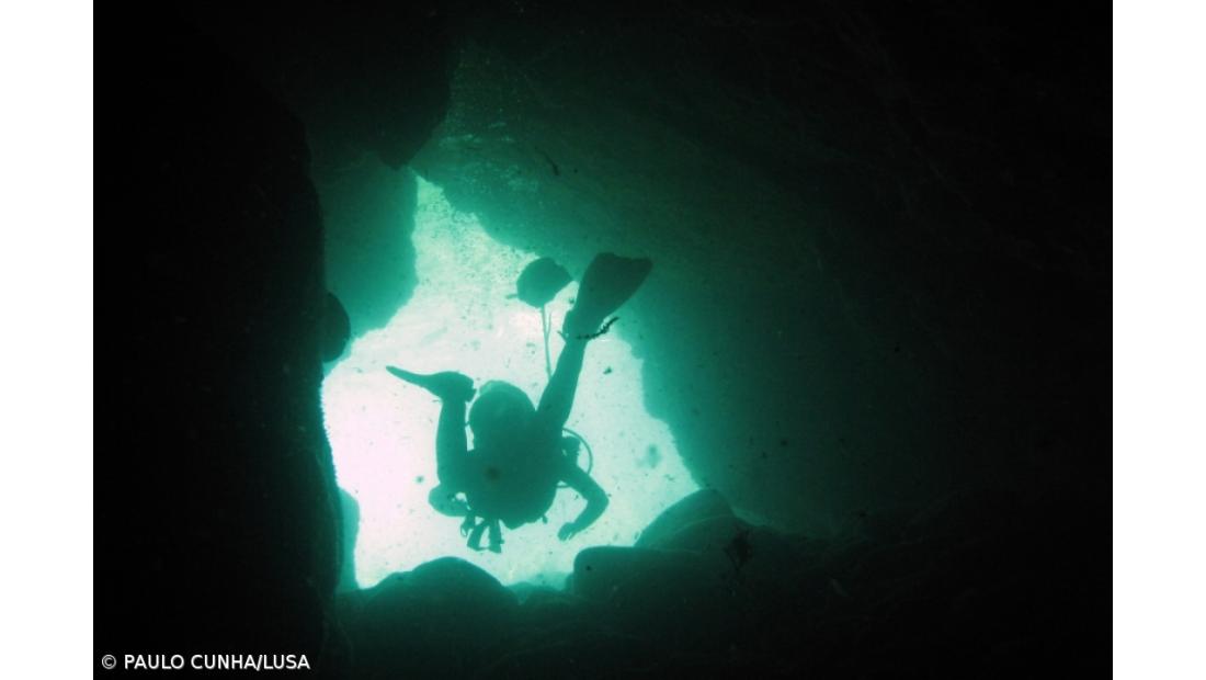 Operadores querem ambiente marinho na certificação do destino turístico dos Açores 