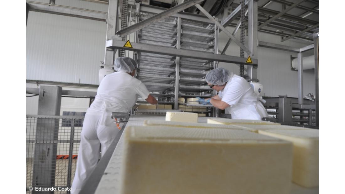 Ligeira quebra na produção de queijo até Setembro