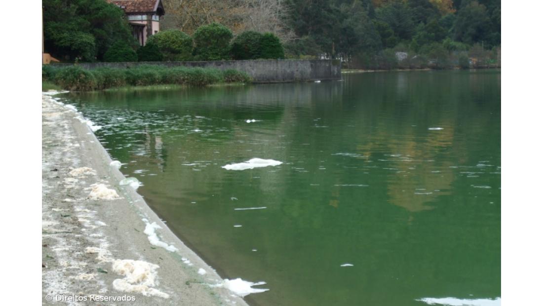 Espumas junto à Lagoa das Furnas