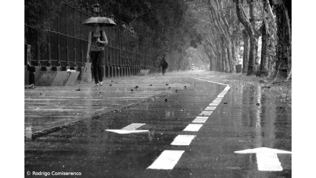 Todos os distritos de Portugal Continental sob aviso amarelo devido à previsão de chuva forte 