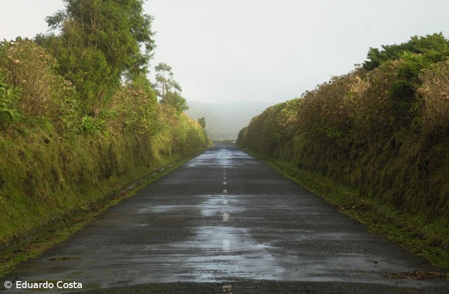 Ilha das Flores vai ter reserva de segurança de farinha e gás – Imagem 1