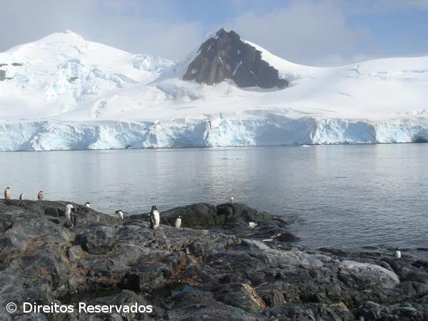 Expedições à Antártida para marcar soberania arrancam – Imagem 1