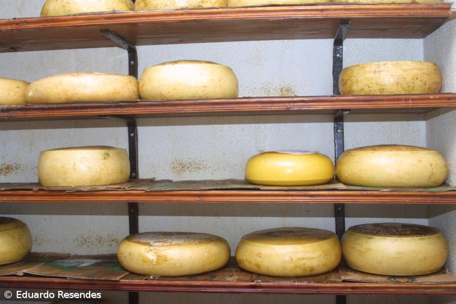 Região marca presença na Ovibeja 2011 – Imagem 1