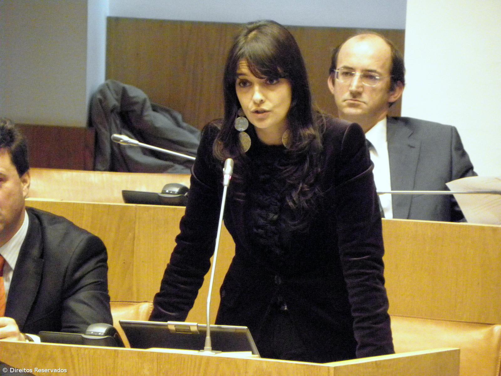 PSD acusa governo de mentir sobre poupança com concentração da frota – Imagem 1