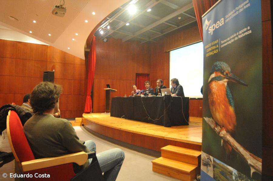 Projecto de conservação do priolo considerado um sucesso – Imagem 1