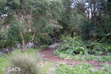 Programa Parque Aberto envolve todas as ilhas em novembro e dezembro – Imagem 1