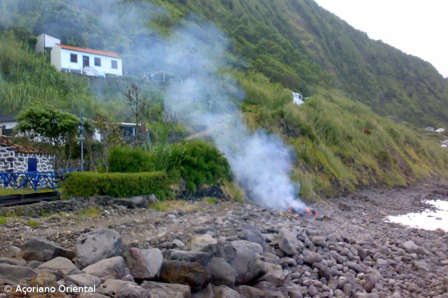 Cachalote queimado no Nordeste – Imagem 1