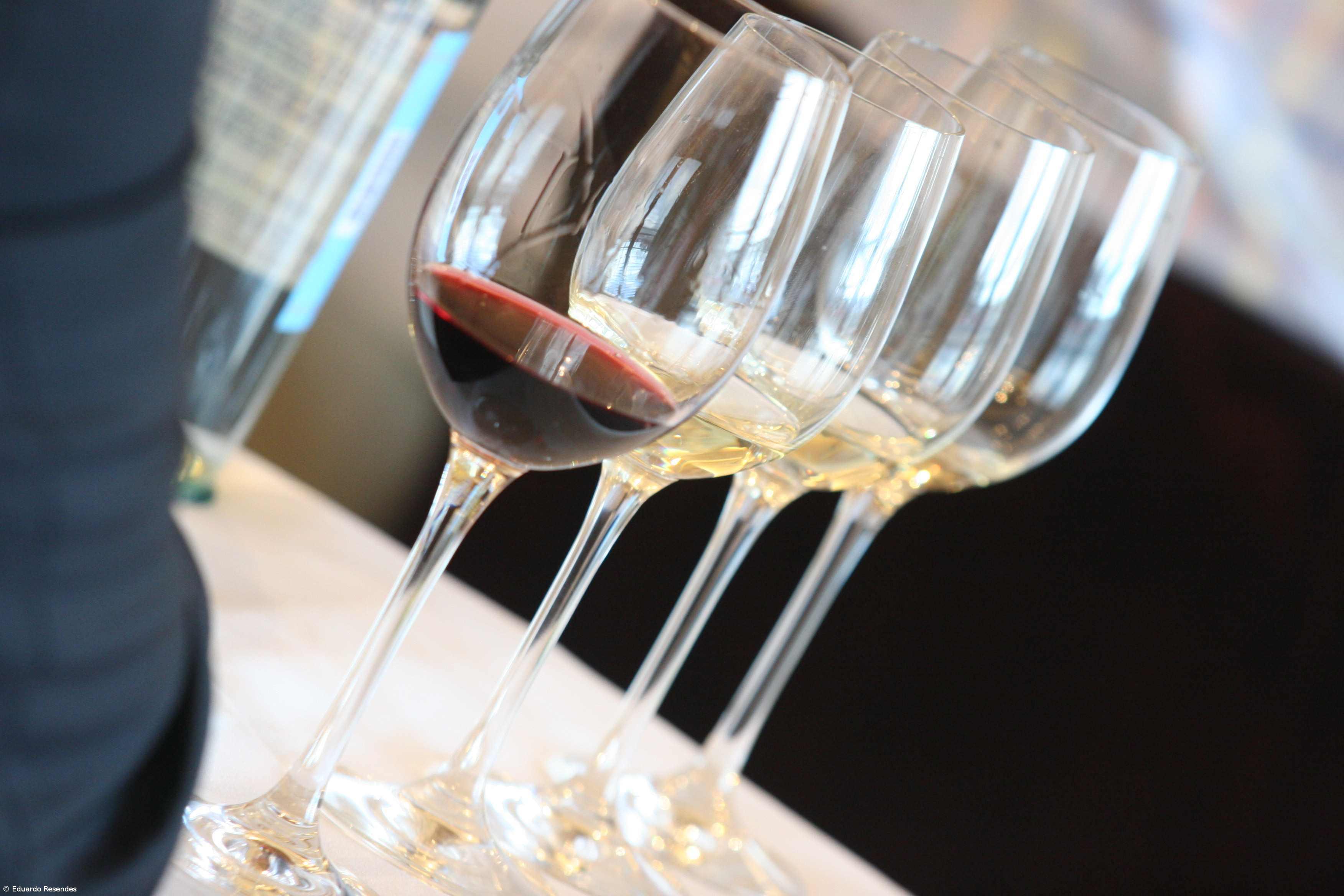 Praia da Vitória assinala Dia do Enoturismo – Imagem 1