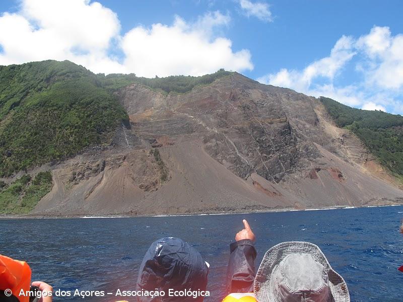 Ambientalistas acusam governo de "branqueamento ecológico" – Imagem 1