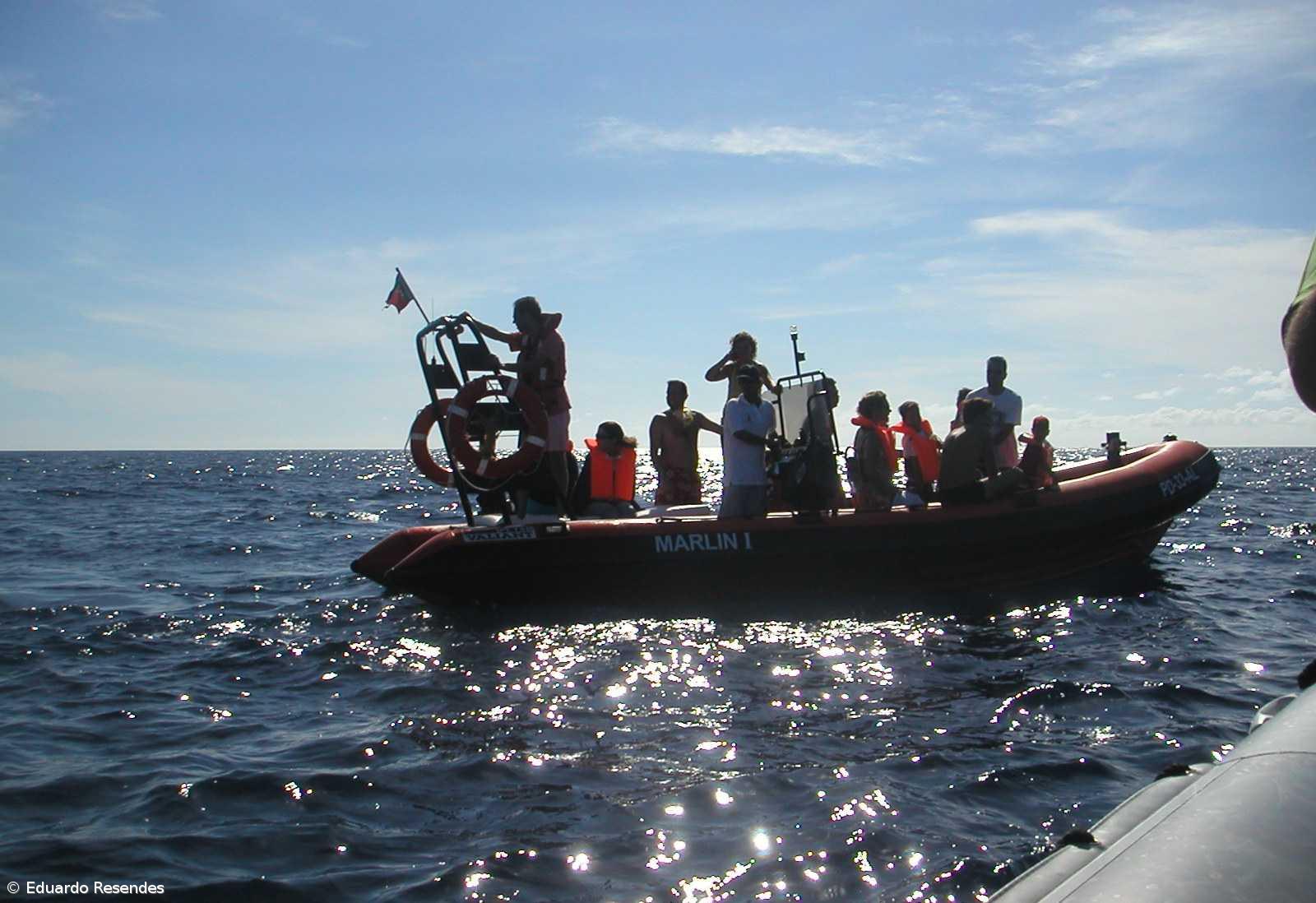 Marinha manifesta-se contra diploma regional – Imagem 1