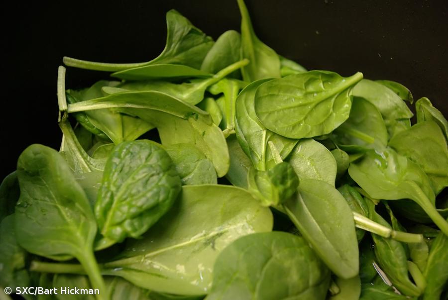 Comer espinafres e legumes verdes reduz risco de diabetes do tipo 2 – Imagem 1