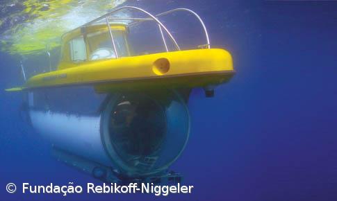 Submarino procura lulas gigantes – Imagem 1