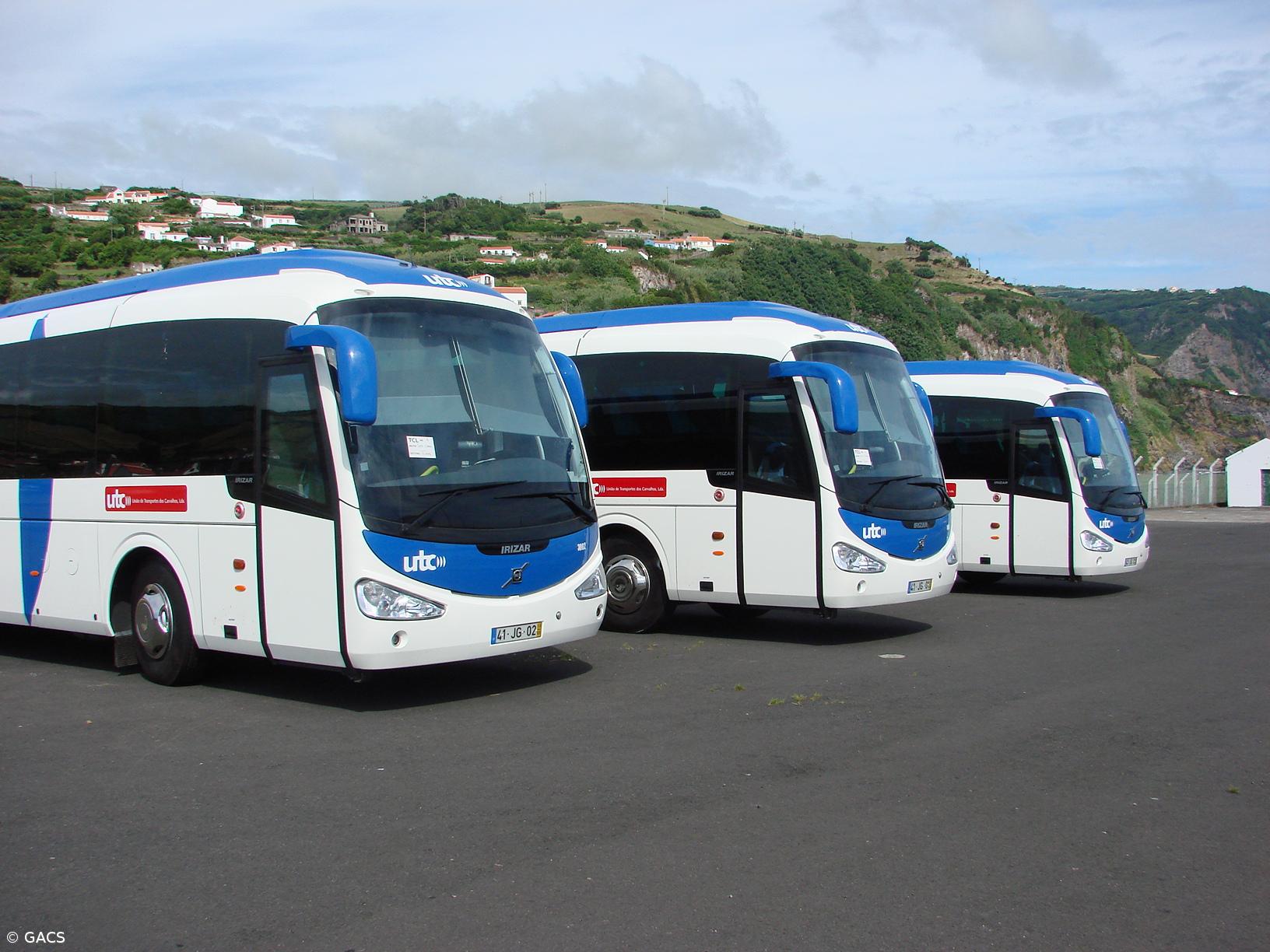 Flores com novo serviço de transporte público de passageiros – Imagem 1
