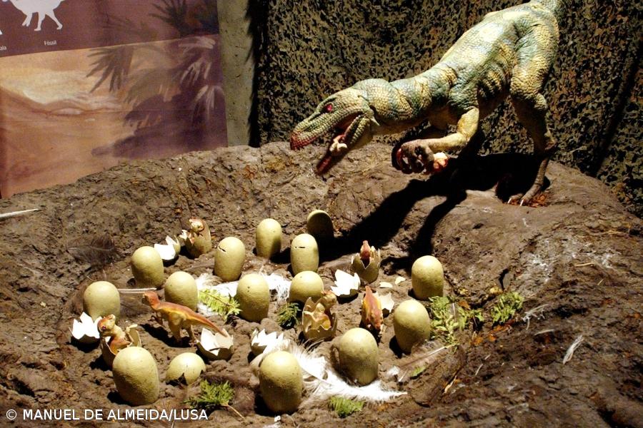 Paleontólogos descobriram fóssil do primeiro dinossauro carnívoro na Venezuela – Imagem 1