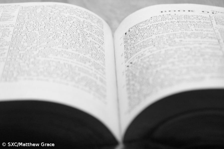 Há mais alunos de português nas escolas comunitárias e de ensino regular dos EUA – Imagem 1