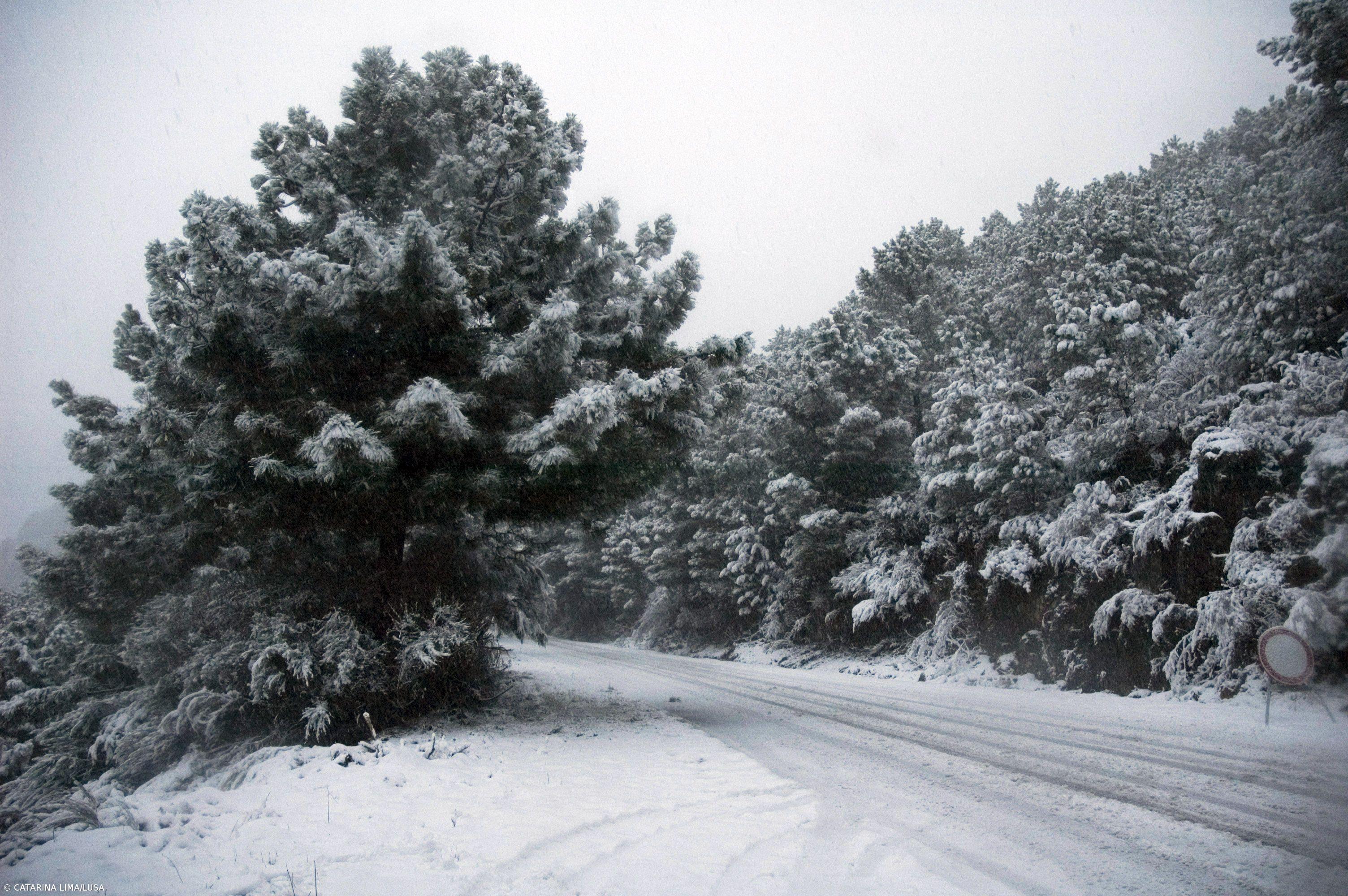 Neve cai desde sexta-feira na Serra da Estrela – Imagem 1