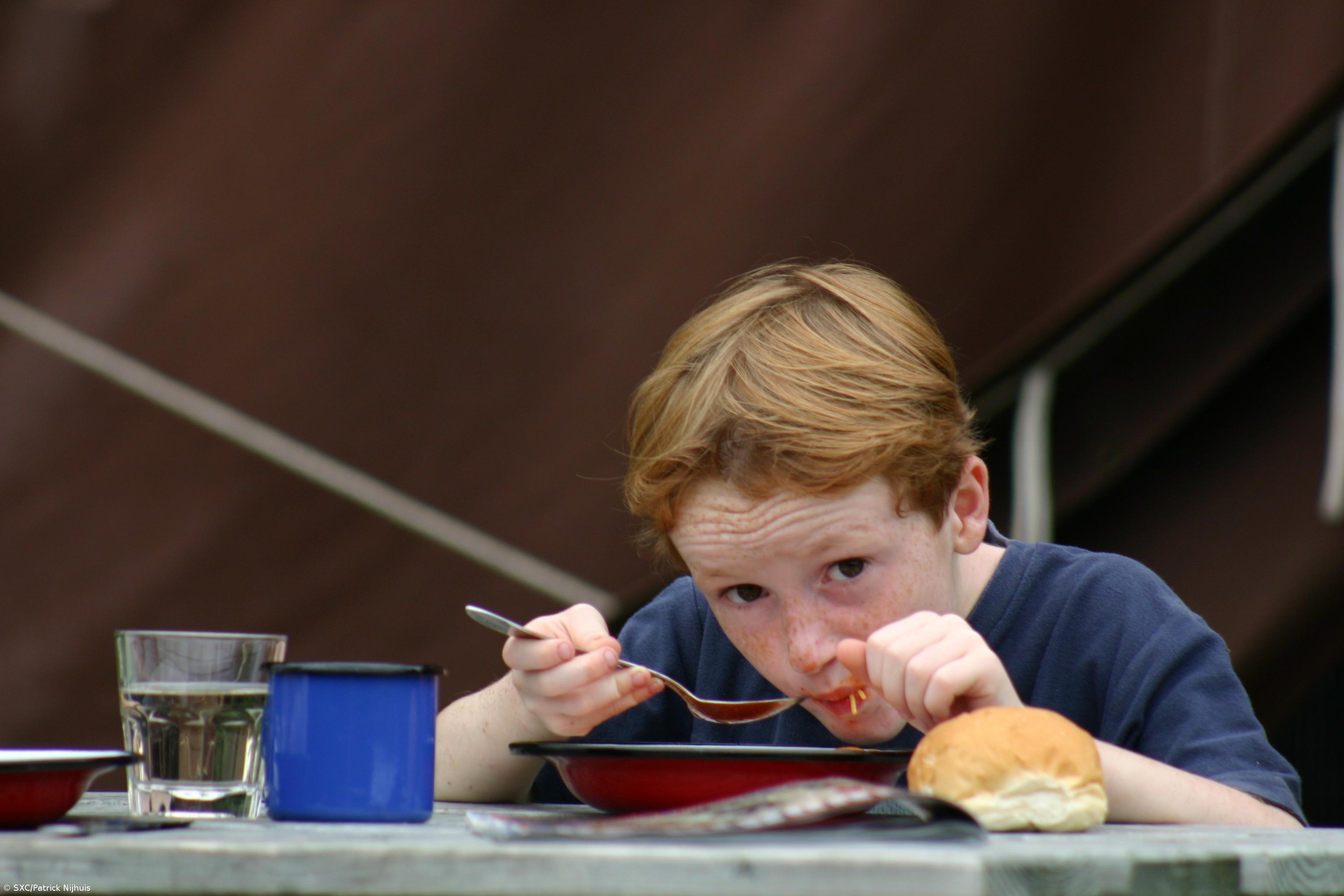 Todos os países da UE têm regras para alimentação saudável nas escolas – Imagem 1