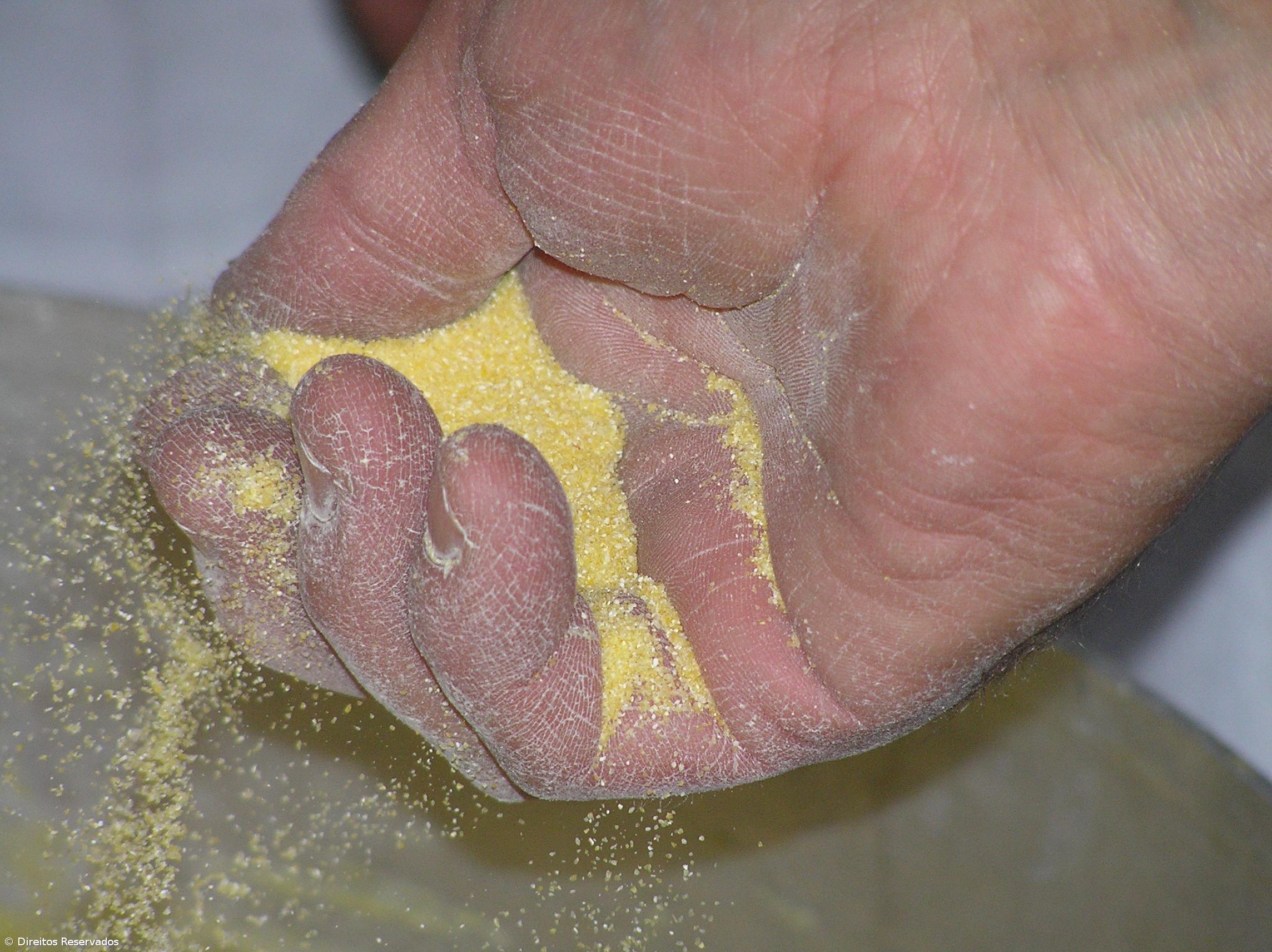 'Batalha de Farinha' anima localidade piscatória no Pico – Imagem 1