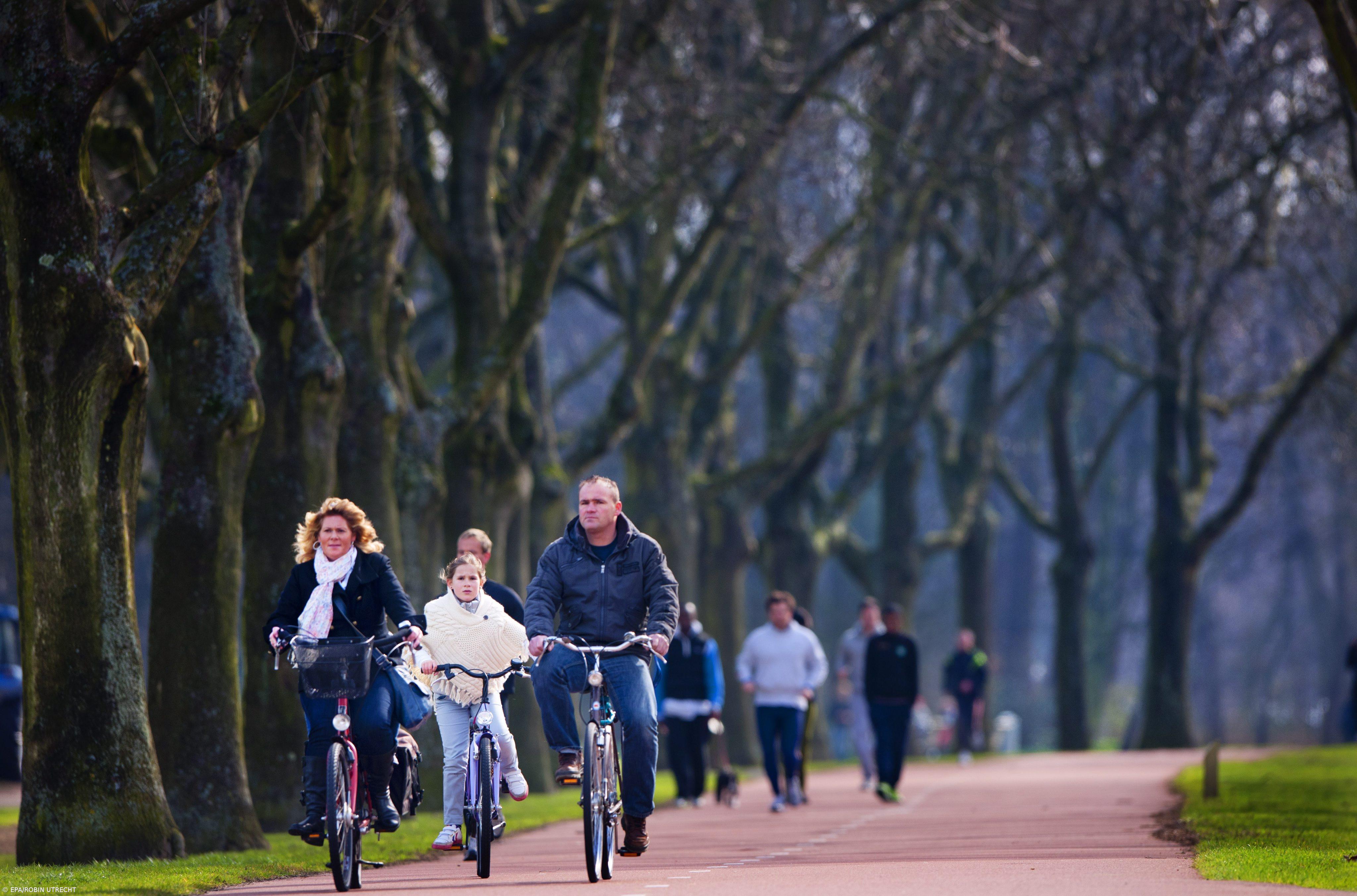 Holanda fecha 2012 com défice de 4,1% – Imagem 1