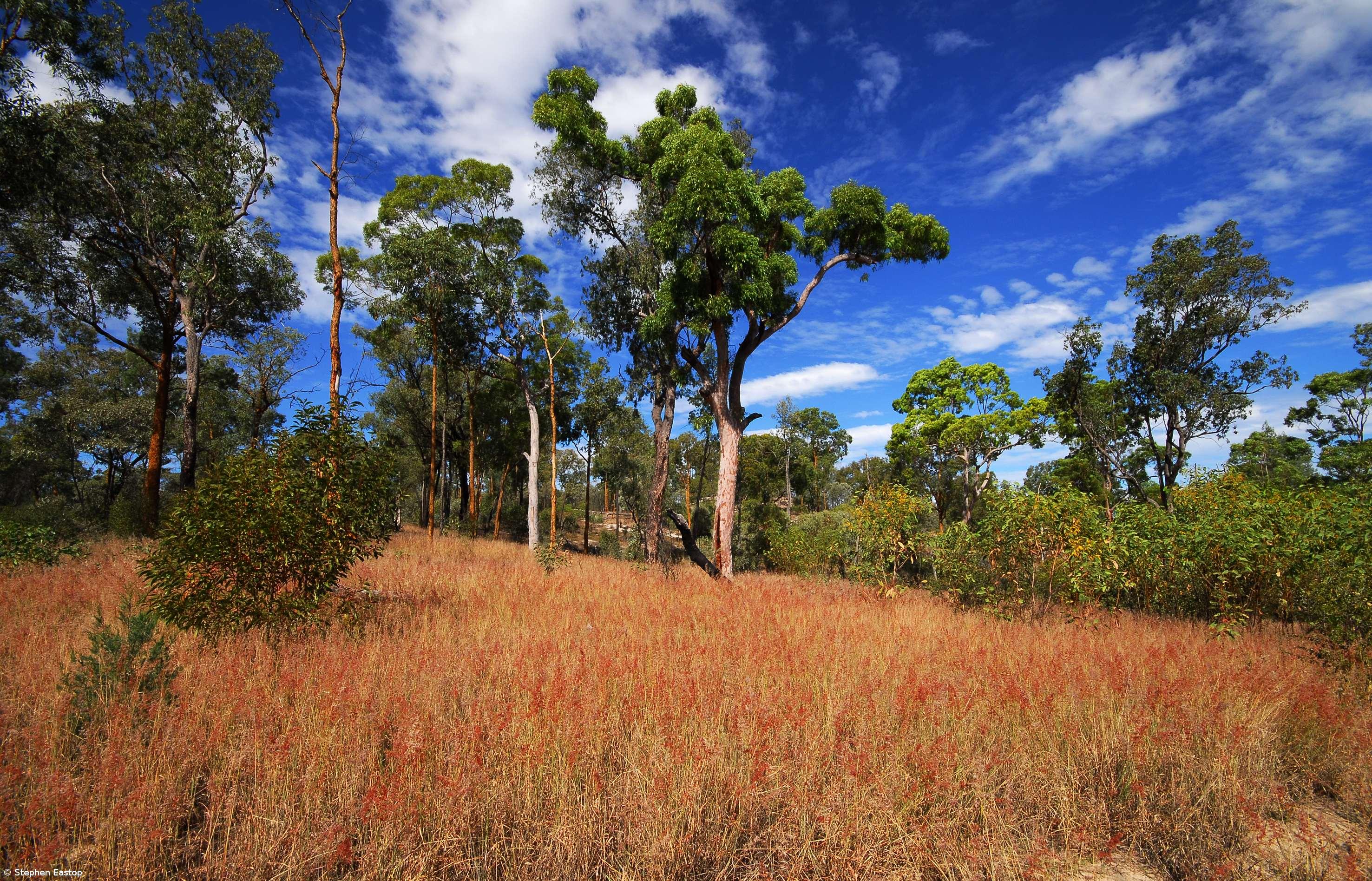 Mais de metade do território em seca extrema e bacias abaixo do normal – Imagem 1