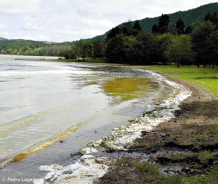 PS e PSD visitaram Lagoa das Furnas – Imagem 1
