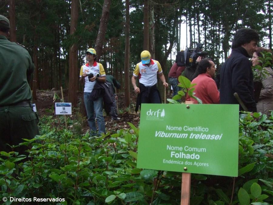 Banco de sementes protege espécies endémicas dos Açores – Imagem 1