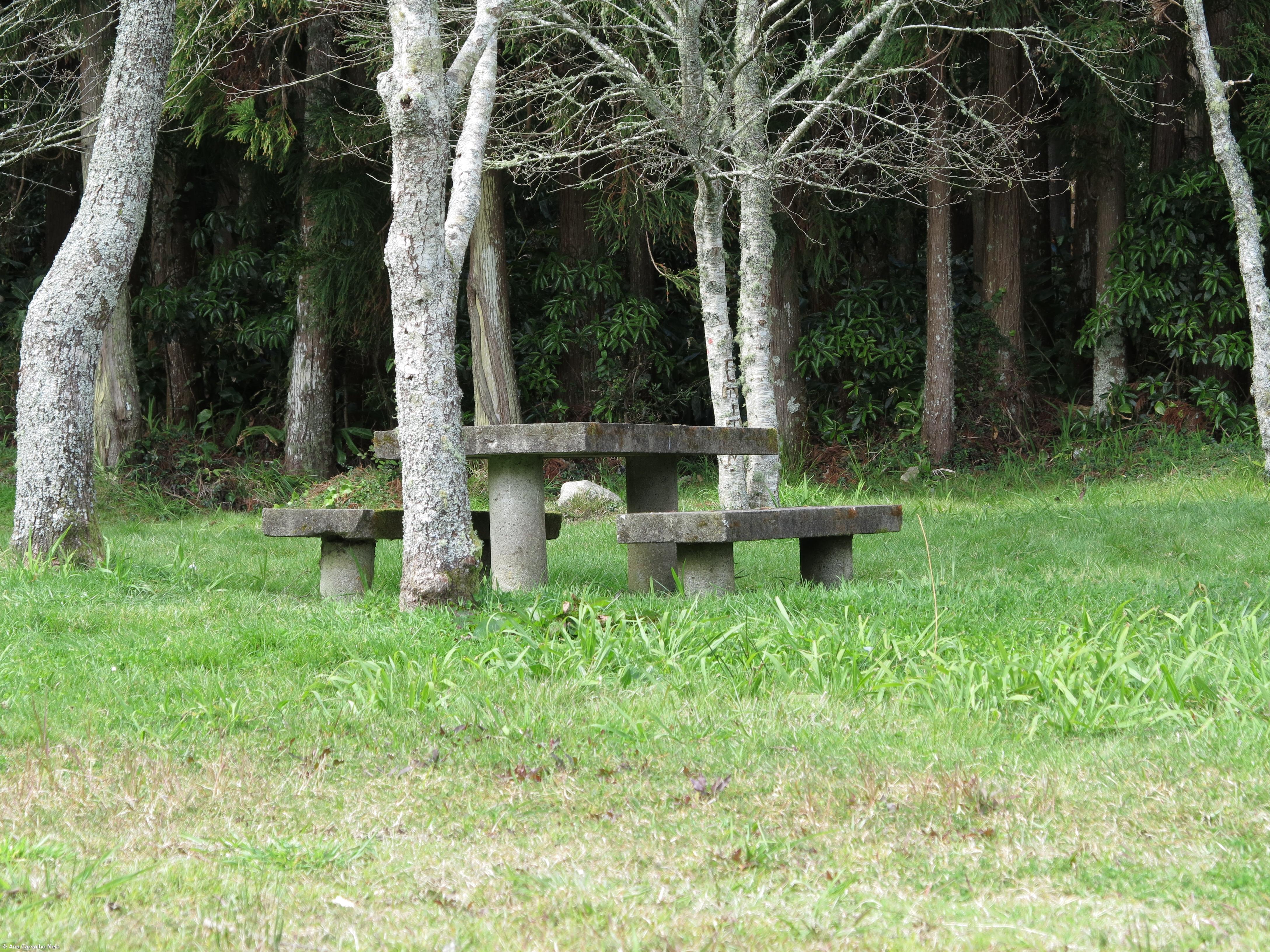 Parques de merendas às dezenas em oito das nove ilhas dos Açores – Imagem 1