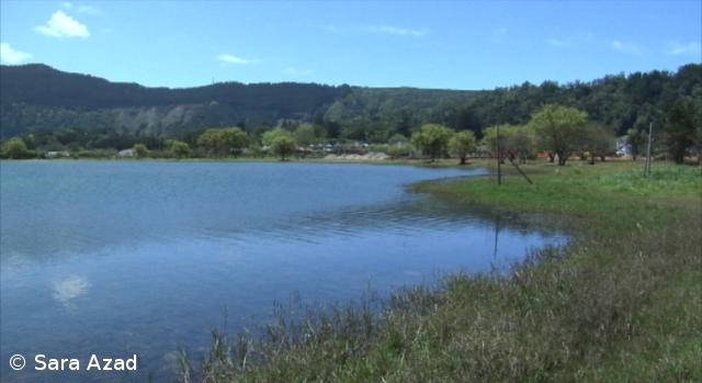 SPEA realiza observação de aves na Lagoa das Sete Cidades – Imagem 1