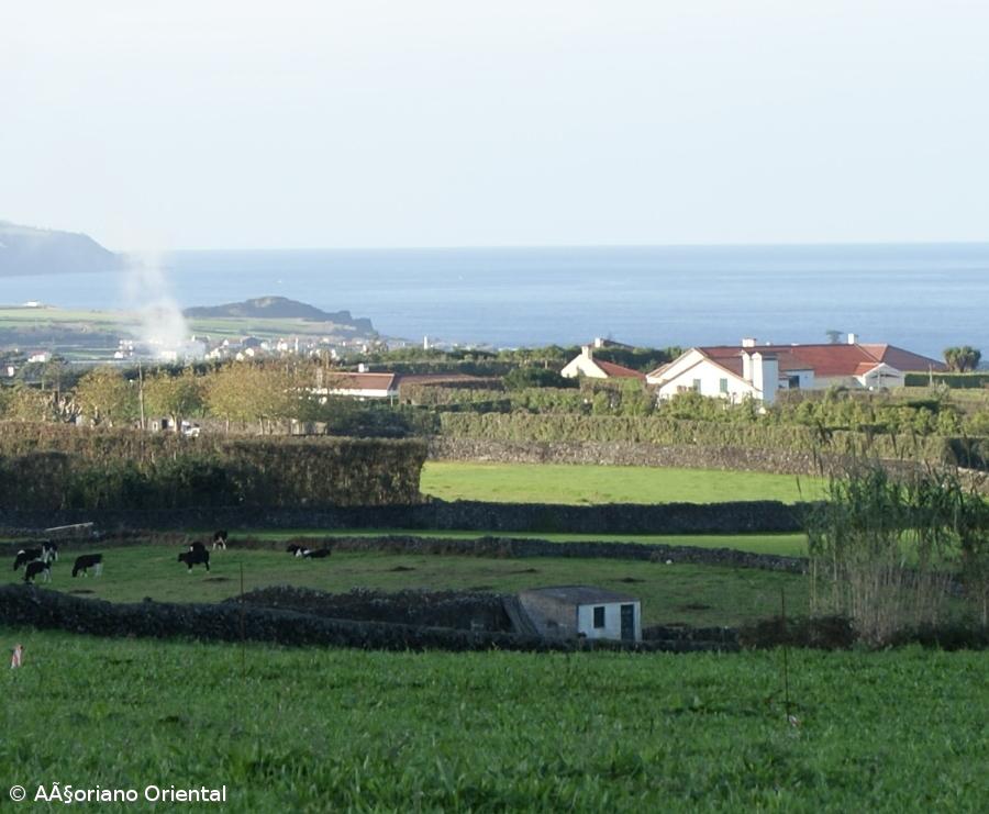 Detidos após furarem cerca em carrinha de venda de pão – Imagem 1