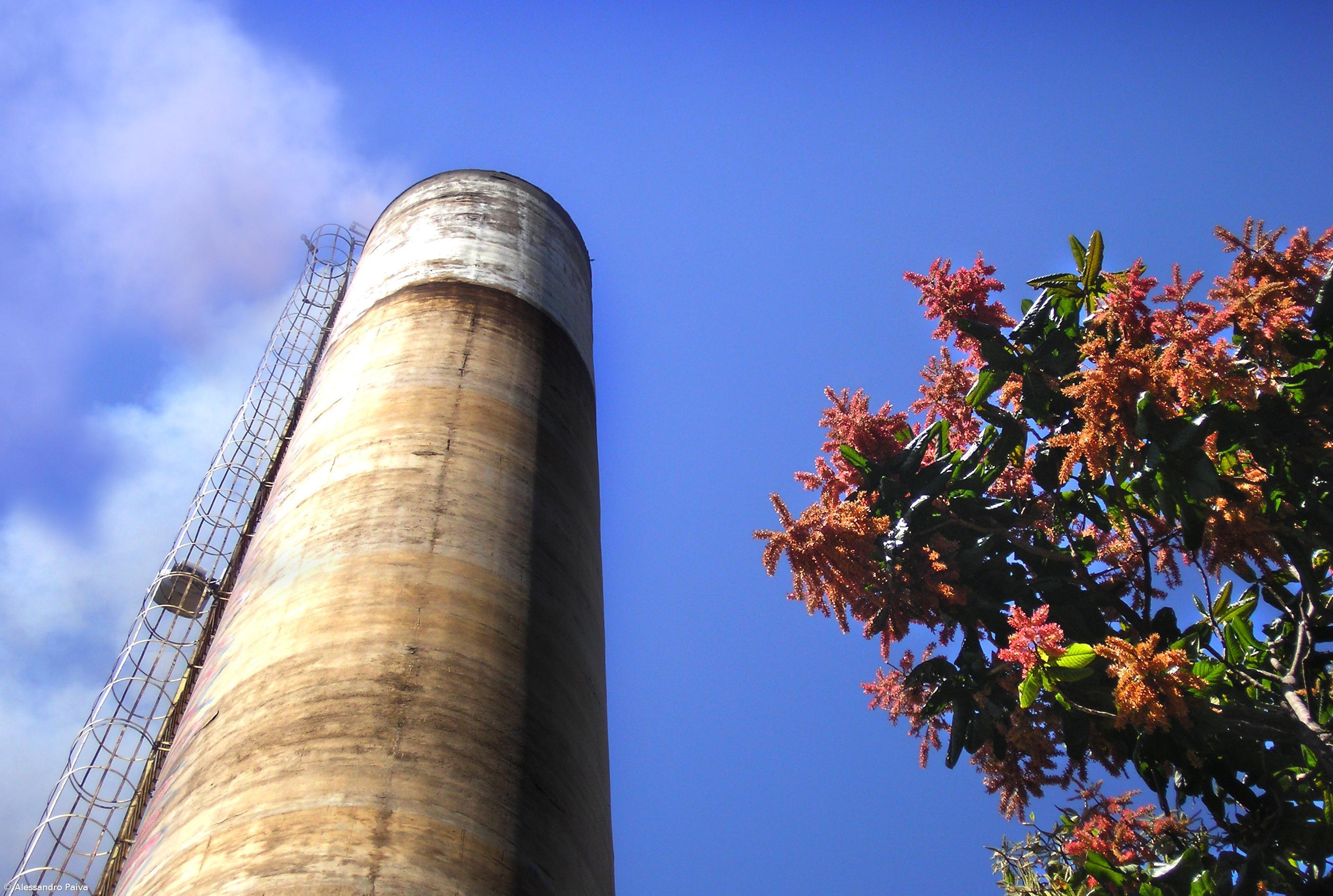 Portugal não cumpriu metas de Quioto  – Imagem 1