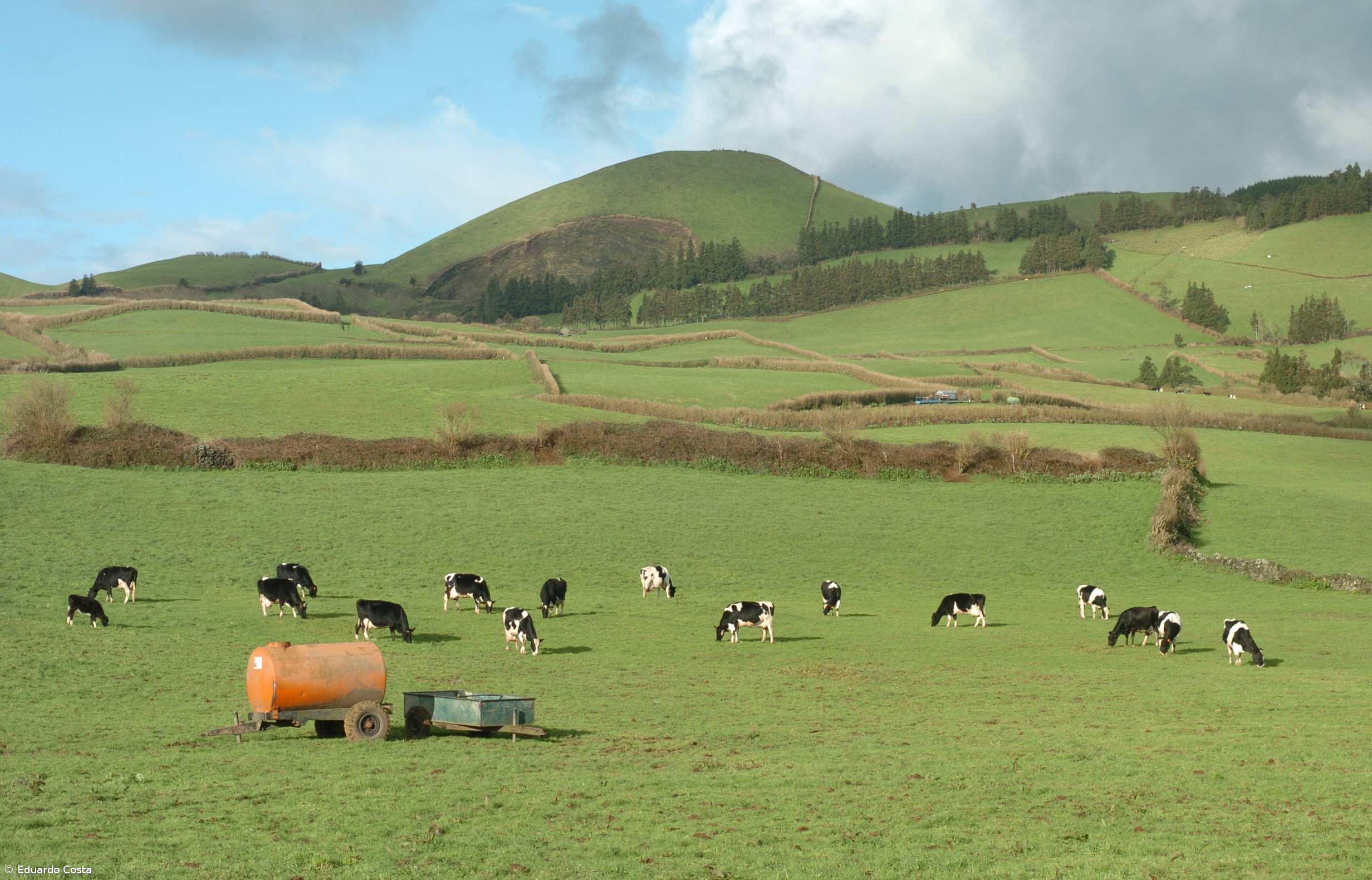 Aprovado plano de desenvolvimento rural  – Imagem 1