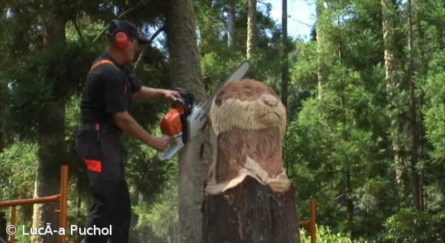 Esculturas de madeira feitas com motosserra nas margens da lagoa das Furnas  – Imagem 1