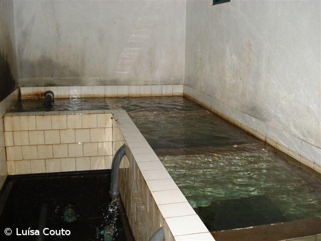 Contaminação das nascentes deixa população sem água para consumo – Imagem 1